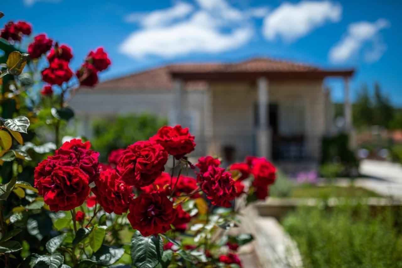 Sunny House Apartment Korcula Town Bagian luar foto